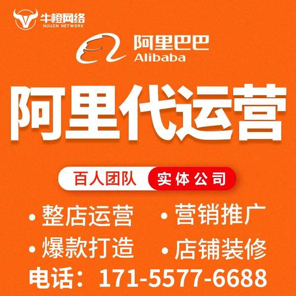 宁国电商代运营