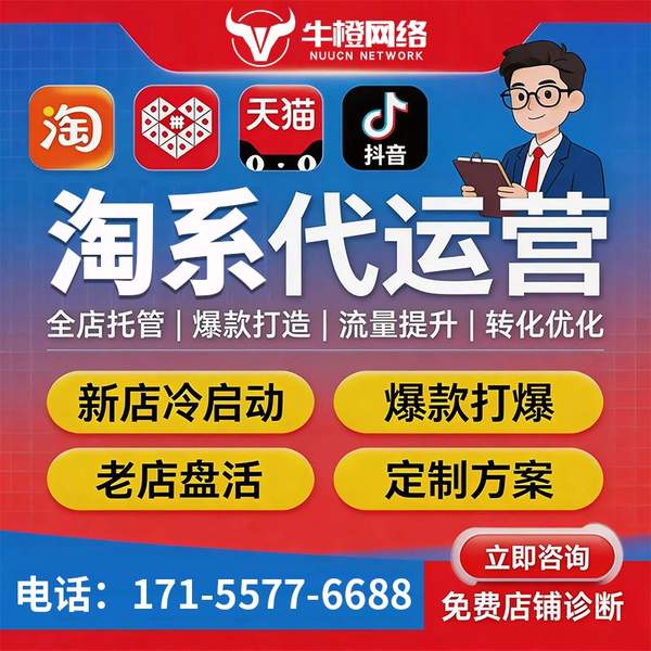 宁国电商代运营