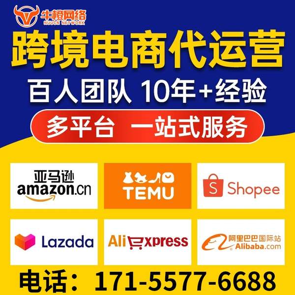 宁国电商代运营