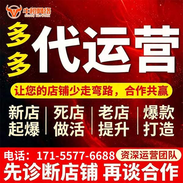 宁国电商代运营