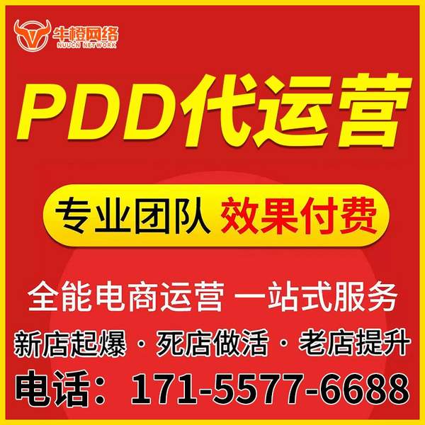 宁国电商代运营