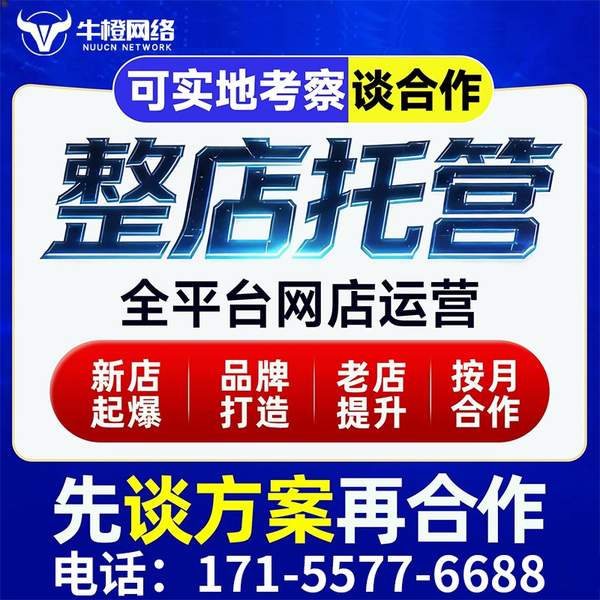 宁国电商代运营