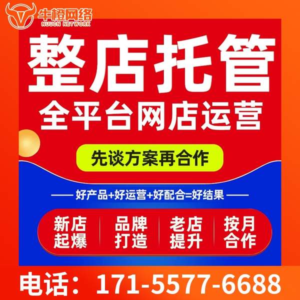 宁国电商代运营
