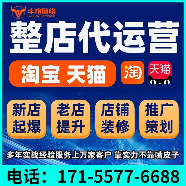 宁国电商代运营