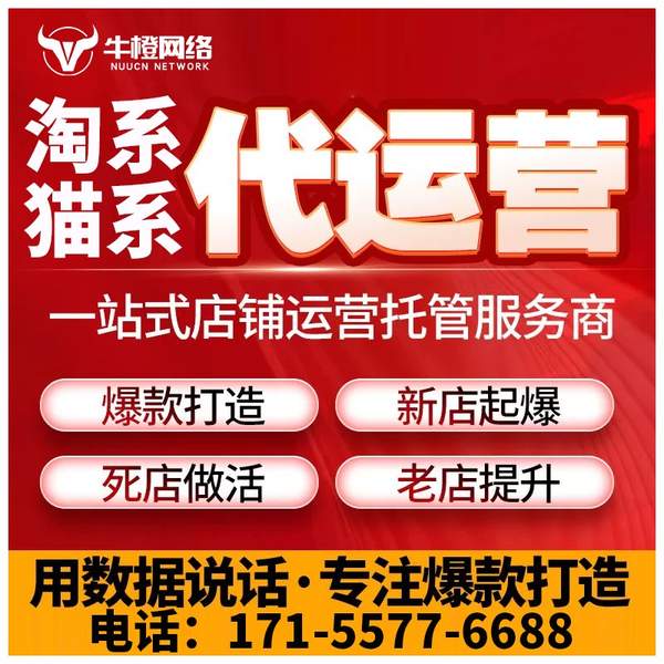 宁国电商代运营